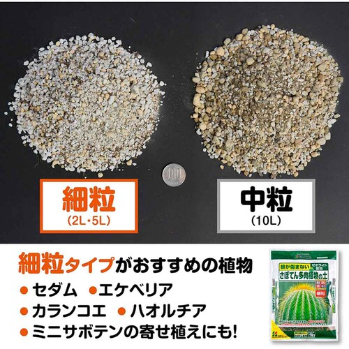 �Ԃ����� ���ڂĂ񑽓��A���̓y�i�ח��j 5L_4