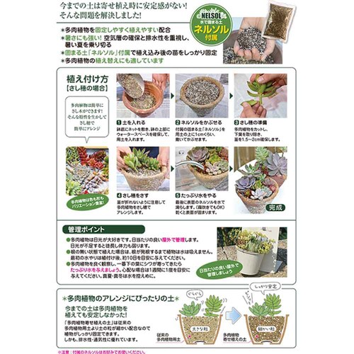 �Ԃ����� �����A���񂹐A�̓y�i�l���\�����j 5L_2