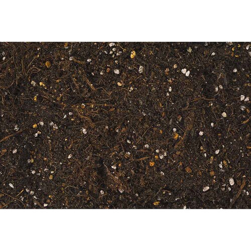 �Ԃ����� �n�[�u�E�����̓y 5L_2