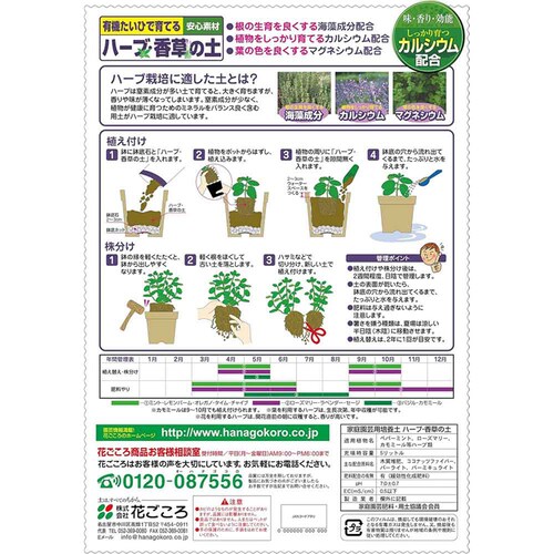 �Ԃ����� �n�[�u�E�����̓y 5L_3