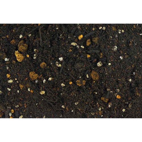 �Ԃ����� �I���[�u�̓y 5L_2