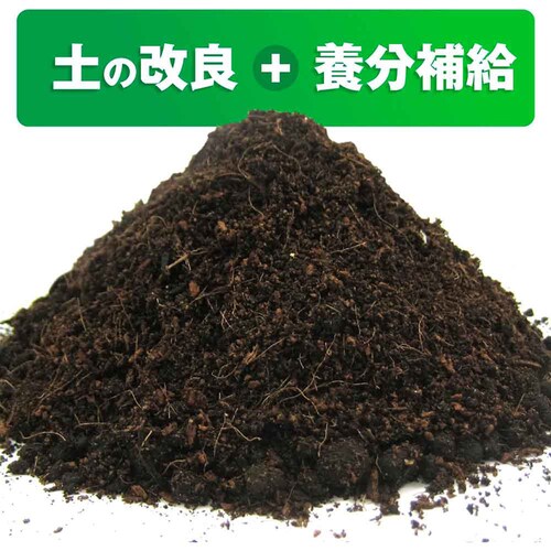 �Ԃ����� �܂������I�炭�炭�y�̉��Ǎ� 5L_3