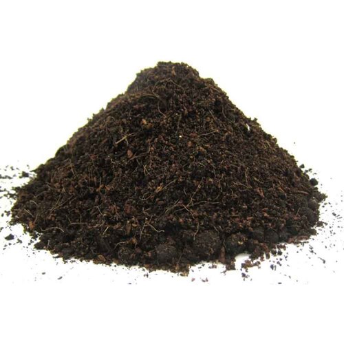 �Ԃ����� �܂������I�炭�炭�y�̉��Ǎ� 5L_6