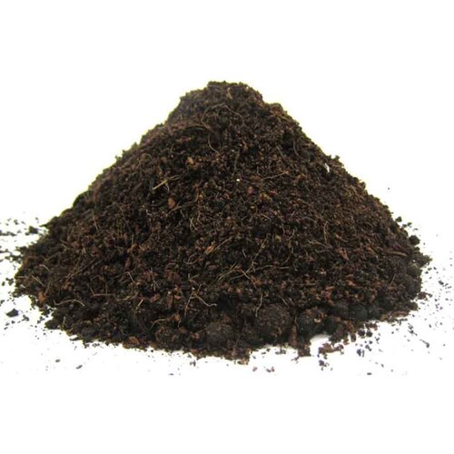 �Ԃ����� �܂������I�炭�炭�y�̉��Ǎ� 10L_2