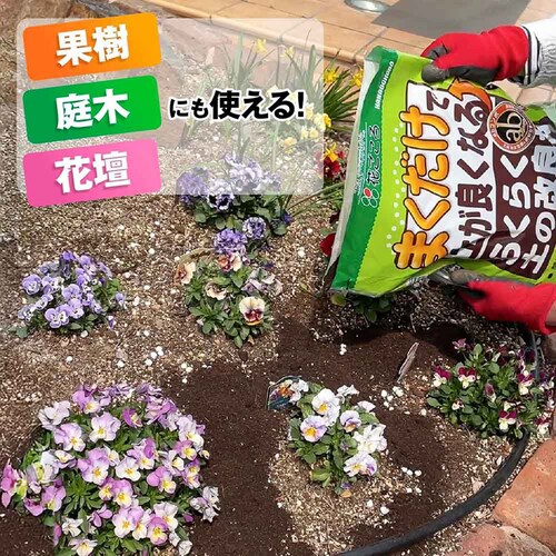 �Ԃ����� �܂������I�炭�炭�y�̉��Ǎ� 10L_4