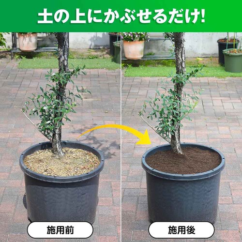 �Ԃ����� �܂������I�炭�炭�y�̉��Ǎ� 10L_5