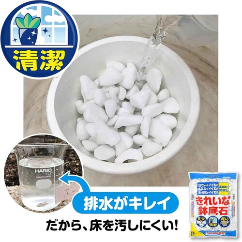 �Ԃ����� ���ꂢ�Ȕ���� 2L_4