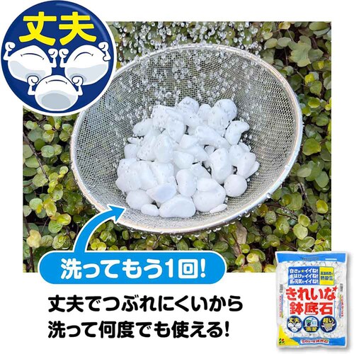 �Ԃ����� ���ꂢ�Ȕ���� 2L_5