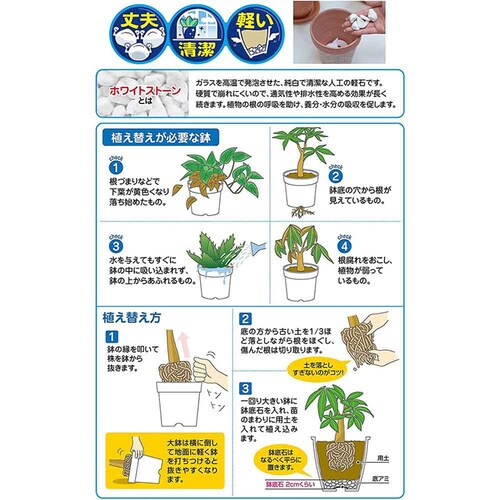 �Ԃ����� ���ꂢ�Ȕ���� 5L_2