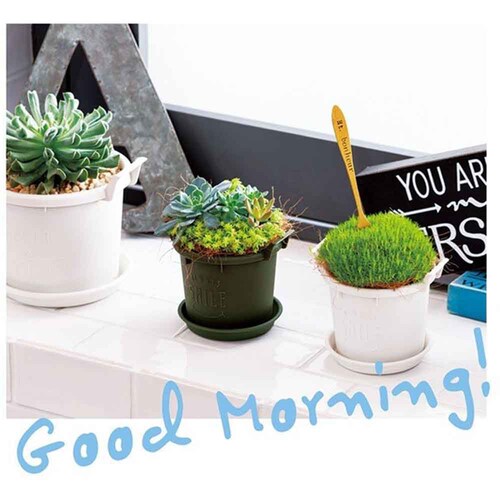 ��a�v���X�`�b�N �O���E�R���e�i 12�^ �z���C�g_3