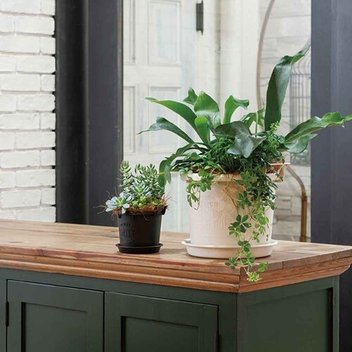 ��a�v���X�`�b�N �O���E�R���e�i 18�^ �O���[��_2