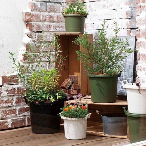 ��a�v���X�`�b�N �O���E�R���e�i 24�^ �z���C�g_5