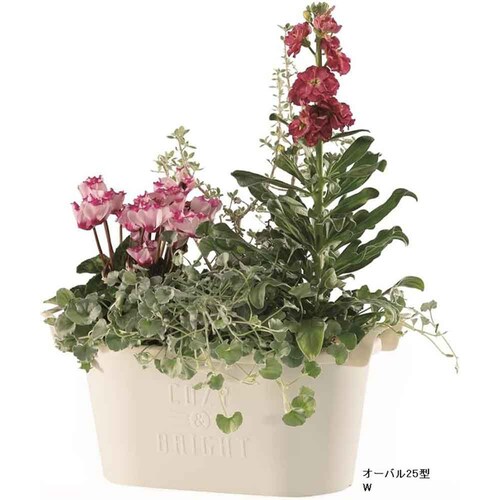 ��a�v���X�`�b�N �O���E�R���e�i�I�[�o�� �I�[�o��25�^ �z���C�g_2