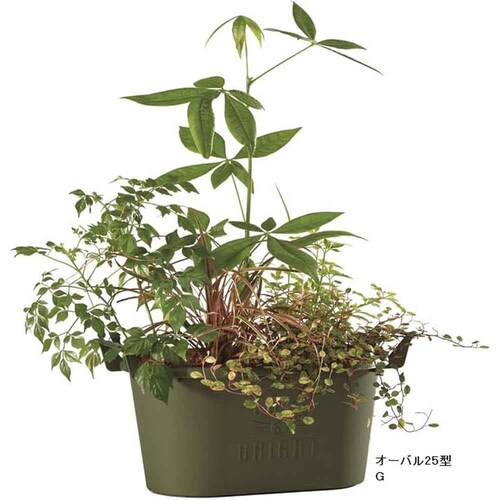 ��a�v���X�`�b�N �O���E�R���e�i�I�[�o�� �I�[�o��25�^ �z���C�g_6