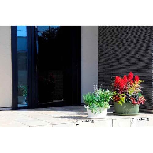 ��a�v���X�`�b�N �O���E�R���e�i�I�[�o�� �I�[�o��25�^ �z���C�g_9