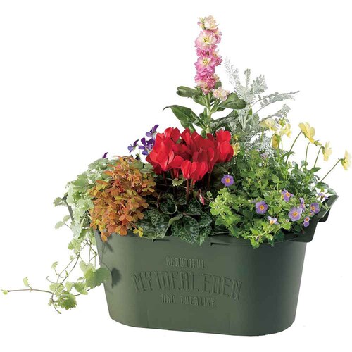 ��a�v���X�`�b�N �O���E�R���e�i�I�[�o�� �I�[�o��33�^ �z���C�g_5