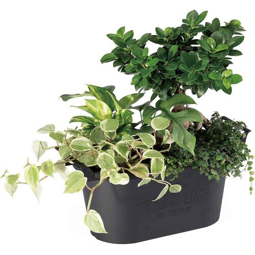 ��a�v���X�`�b�N �O���E�R���e�i�I�[�o�� �I�[�o��33�^ �z���C�g_7