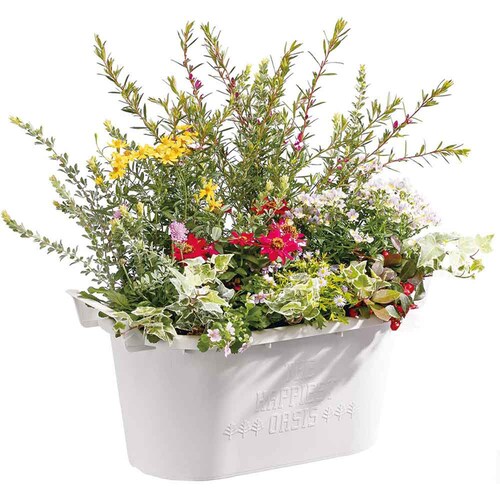 ��a�v���X�`�b�N �O���E�R���e�i�I�[�o�� �I�[�o��43�^ �z���C�g_3