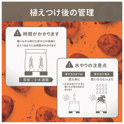 �v���g���[�t �J���r�[�܂ň�Ă邶�Ⴊ�����̓y�|�e�g�o�b�O 12L_3