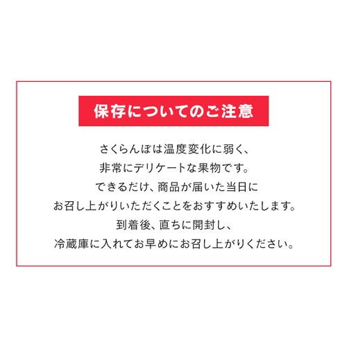 �k�C���Y��������500g �y���Ԏw��s�z�y����s�z�y�����s�z�y�v���U�Z���N�g�z_5