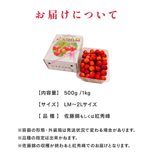 �k�C���Y��������500g �y���Ԏw��s�z�y����s�z�y�����s�z�y�v���U�Z���N�g�z_6