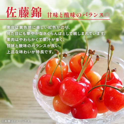 �k�C���Y��������1kg�i500g�~2�j �y���Ԏw��s�z�y����s�z�y�����s�z�y�v���U�Z���N�g�z_2