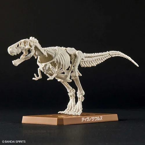BANDAI SPIRITS プラノサウルス ティラノサウルス 642622_6