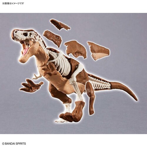 BANDAI SPIRITS プラノサウルス ティラノサウルス 642622_10