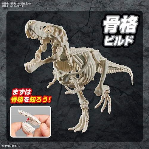 BANDAI SPIRITS プラノサウルス ティラノサウルス 642622_12