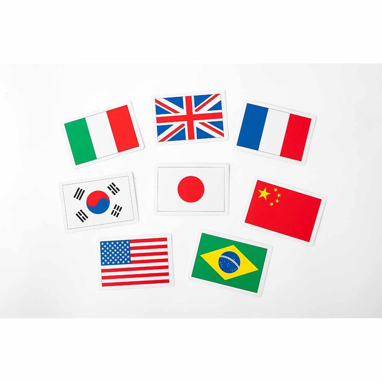世界の国旗カード100 改訂3版 479285 7347492│アイリスオーヤマ公式