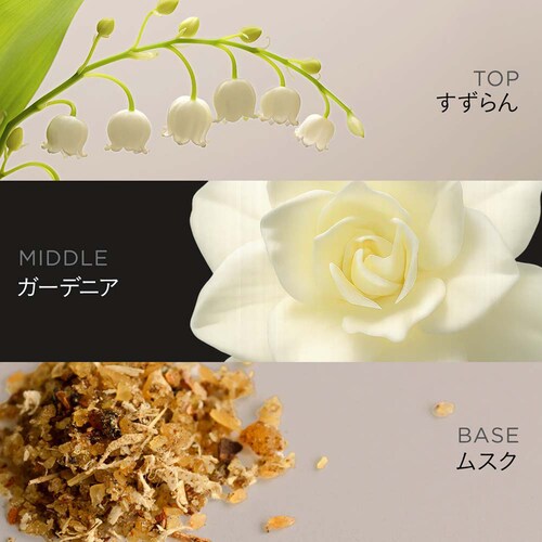 �y3�zP&G �p���e�[�� EXP �J�v�Z�����e�t�w�A�}�X�N_2