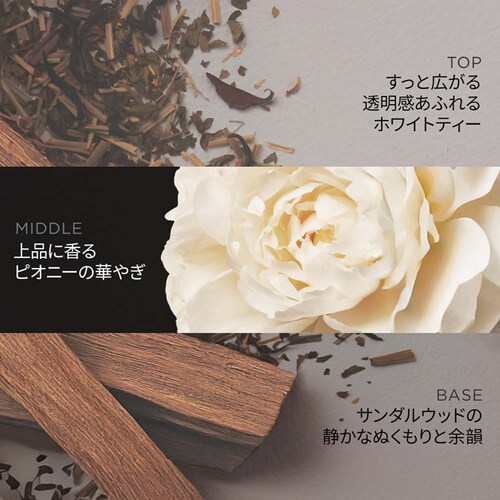 �y4�zP&G �p���e�[�� EXP �v���X�e�[�W�_���[�W�P�A �V�����v�[�R���f�B�V���i�[�Z�b�g_2