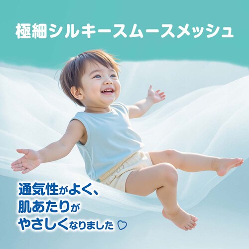 �y4�zP&G �p���p�[�X ���z���G�A���[ M48���i5-12kg�j_7