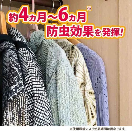 �j���[�p�� �y3�Z�b�g�z�j���[�p�����G�[�X�m���_���X�l�ց@�Q��_5