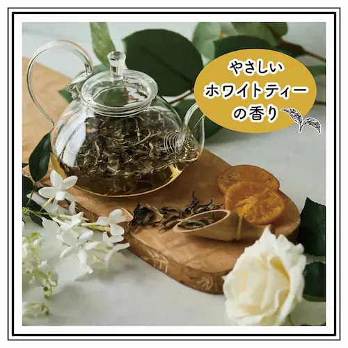 Hanataba Hanataba�z���C�g�e�B�[1.5�{����8�q�_�u��3487_7