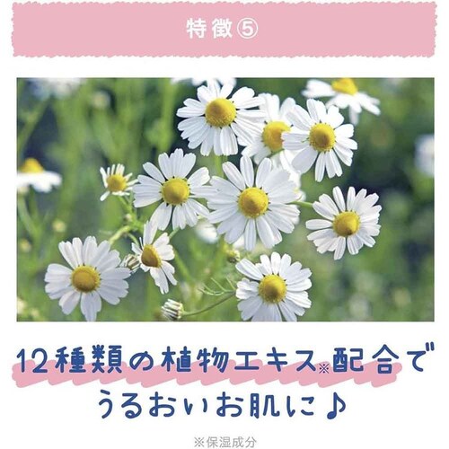 �N�[���X�g �A�Z�_���[�k 2191094 �E�H�[�^�[�O���[���̍���_6