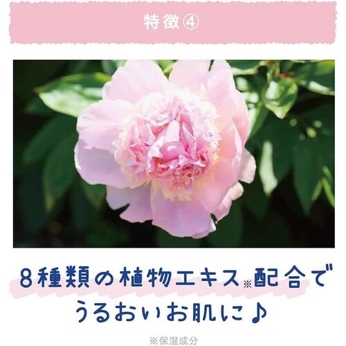 �N�[���X�g �C���o�X�{�f�B�N�[���[ �A�N�A�V�����v�[�̍��� 2191050_6