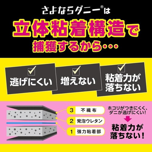 ����Ȃ�_�j�[ �ʏ�Łi4������j 1800630_4