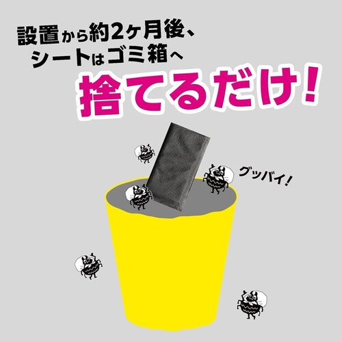 ����Ȃ�_�j�[ �ʏ�Łi4������j 1800630_9