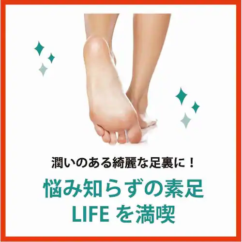 �y3�Z�b�g�z�x�r�[�t�b�g �p���_��&�ێ� �V�A�o�^�[ �t�b�g�N���[�� 100g 2014529_4