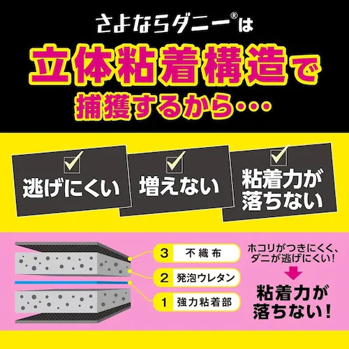 �y2�Z�b�g�z����Ȃ�_�j�[ �ʏ�Łi4������j 1800630_4