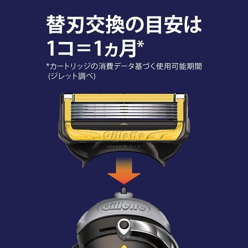 Gillette �v���V�[���h�}�j���A��5B�z���_�[�t_5
