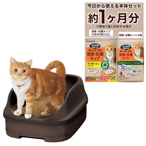 �j�����Ƃ������g�C�� �I�[�v���^�C�v �u���E��_4