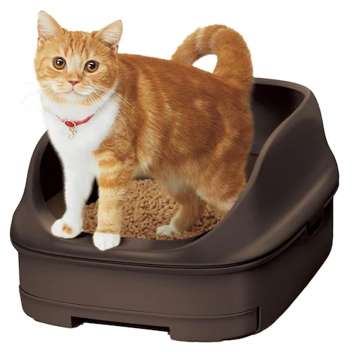 �j�����Ƃ������g�C�� �I�[�v���^�C�v �u���E��_5