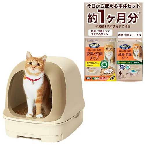 �j�����Ƃ������g�C�� �h�[���^�C�v ���C�g�x�[�W��_4