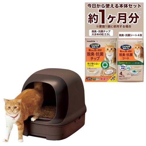 �j�����Ƃ������g�C�� �h�[���^�C�v �u���E��_4