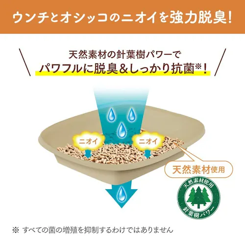 �j�����Ƃ������g�C�� �E�L�E�R�ۃ`�b�v �����߂̗� 2.5L_11