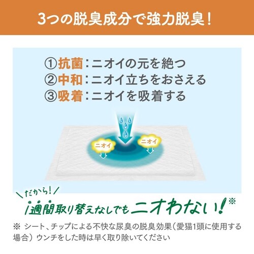 �j�����Ƃ������g�C�� �E�L�E�R�ۃV�[�g 12��_3