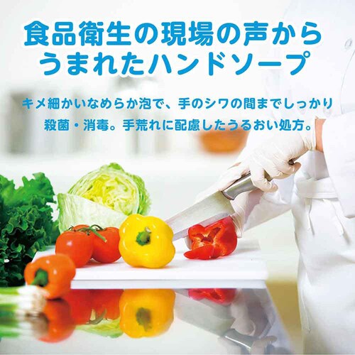 SARAYA �n���h���{ ��p�A�n���h�\�[�v 300ml_3