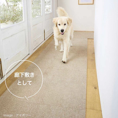 RUGRUG �ƒ�p�^�C���J�[�y�b�g �\�t�g�t�B�[�� 131-40957 ���C�g�O���[���y���Ԏw��s�z�y����s�z�y�����s�z_4